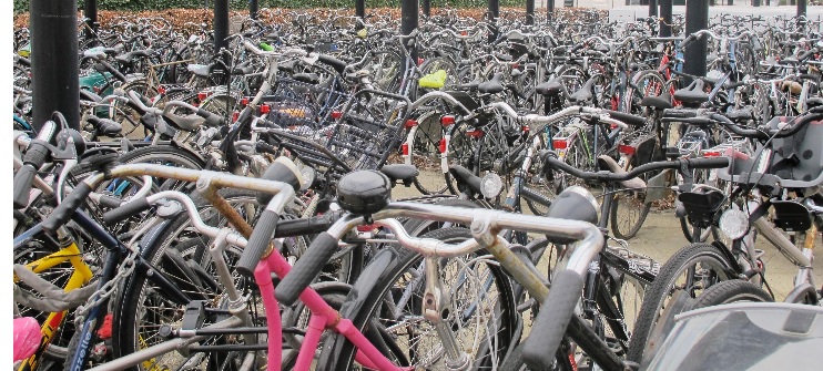 De oude fietsen worden opgeruimd! | https://www.svhillegom.nl/