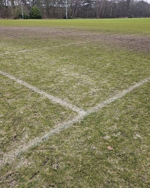 Vrijgeven grasvelden